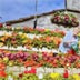Casa cubierta de flores en Estados Unidos